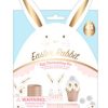 Home Decor Waste Not Paper | Easter Rabbit Egg Decorating Kit