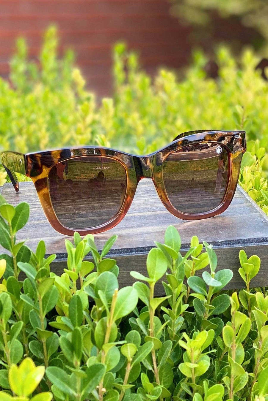 Accessories La Mirada | Adios Sunglasses - Tortoise